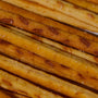 A close up of a bunch of Glico Pretz: Sweet Corn sticks. thumbnail 2