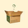 A Mystery Pack from Bokksu Market with a question mark on it. thumbnail 2