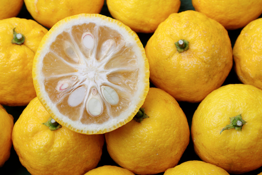Yuzu: An Amazing Citrus Fruit
