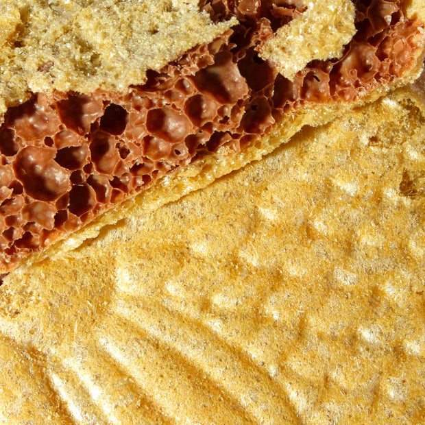 A close up of a Meito Pukupuku Tai Chocolate Wafer with a hole in it.